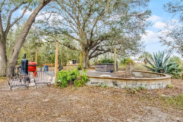 view of yard with a hot tub