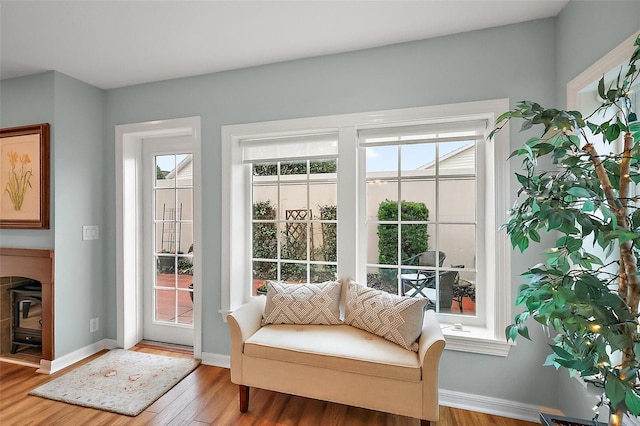 entryway featuring a wealth of natural light, baseboards, and wood finished floors