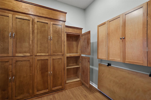 spacious closet featuring light wood finished floors