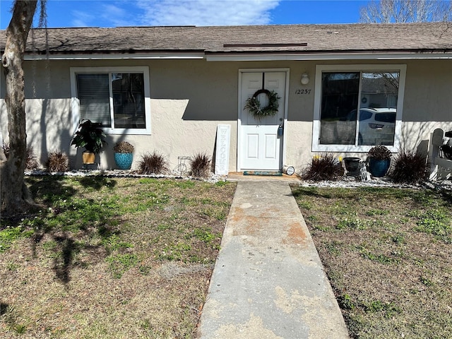 entrance to property with roof with shingles, a lawn, and stucco siding