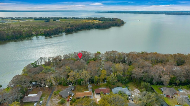 drone / aerial view with a water view and a view of trees