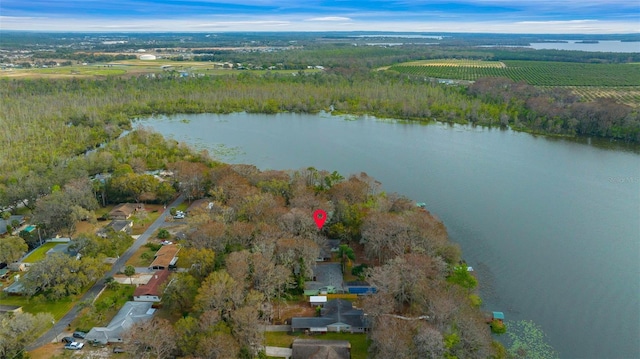 aerial view with a water view and a rural view