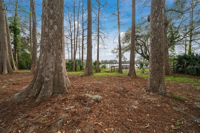 view of local wilderness