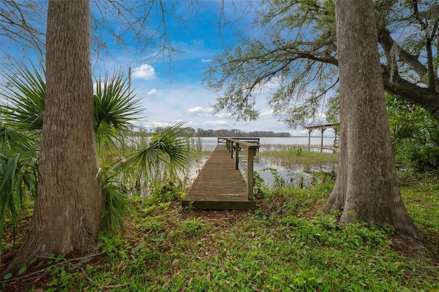 dock area featuring a water view