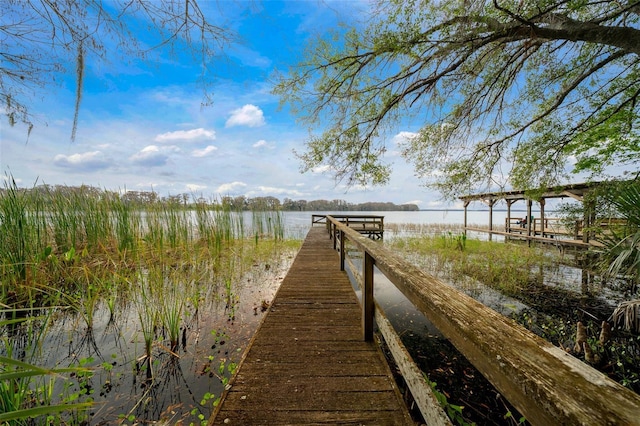 dock area featuring a water view