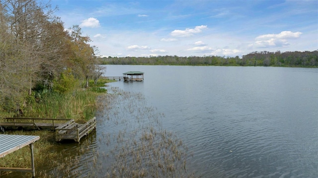 dock area featuring a water view