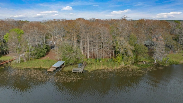 birds eye view of property with a water view and a wooded view