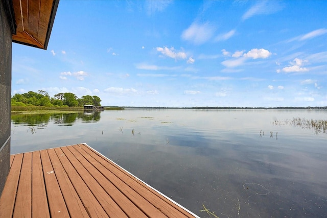 17648 Live Oak Dr, Tavares, FL 32778 - photo 25