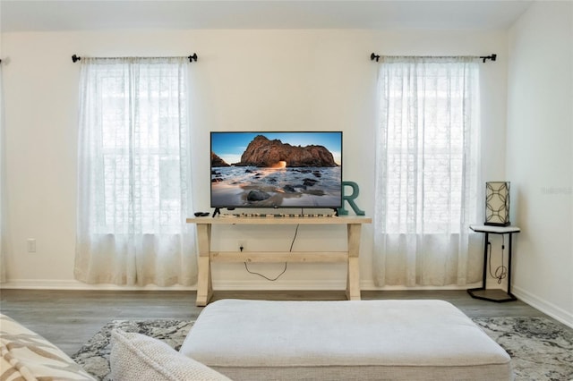 sitting room with wood finished floors, baseboards, and a wealth of natural light