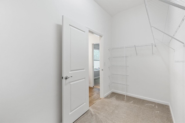 walk in closet featuring light colored carpet