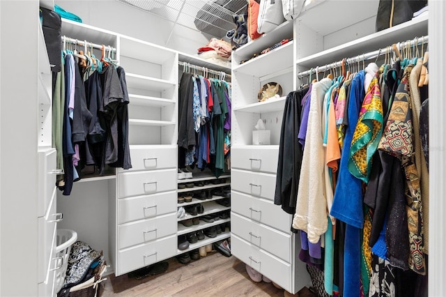 spacious closet featuring wood finished floors