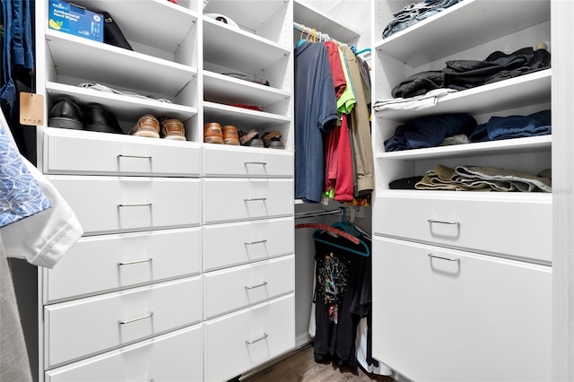 spacious closet featuring wood finished floors