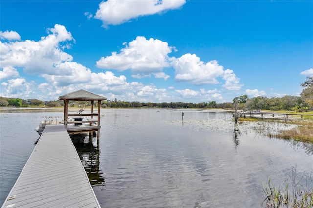 dock area featuring a water view