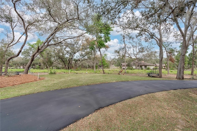 view of road featuring driveway