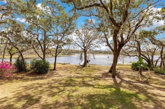 view of yard with a water view