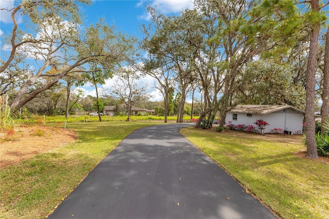 view of road featuring driveway