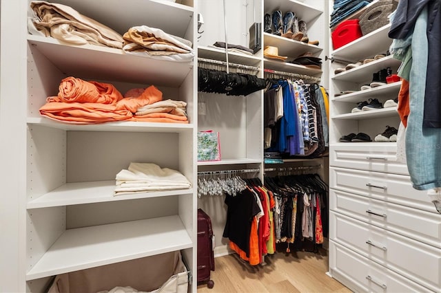 spacious closet featuring light wood-type flooring