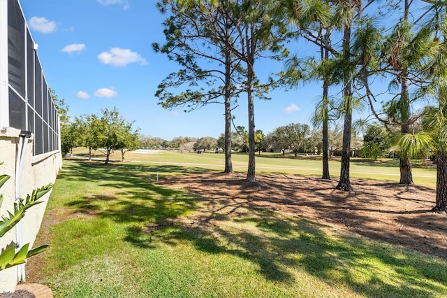 view of yard with a lanai