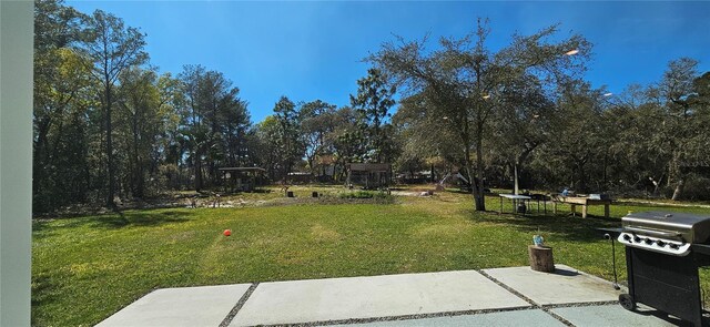 42329 Chinaberry St, Eustis, FL 32736 - photo 8