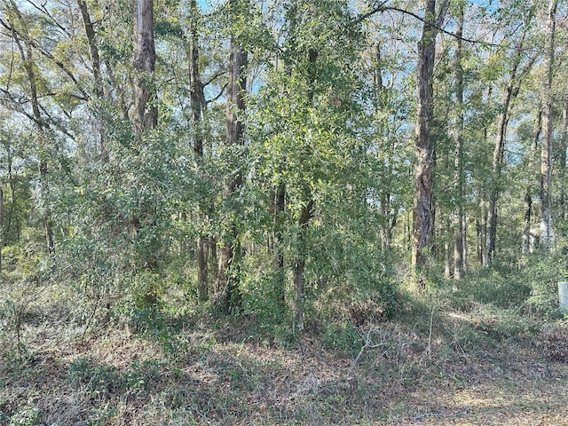 NW 55th Pl, Ocala FL, 34482 land for sale