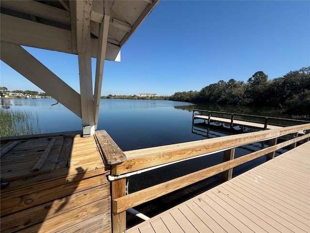 dock area with a water view