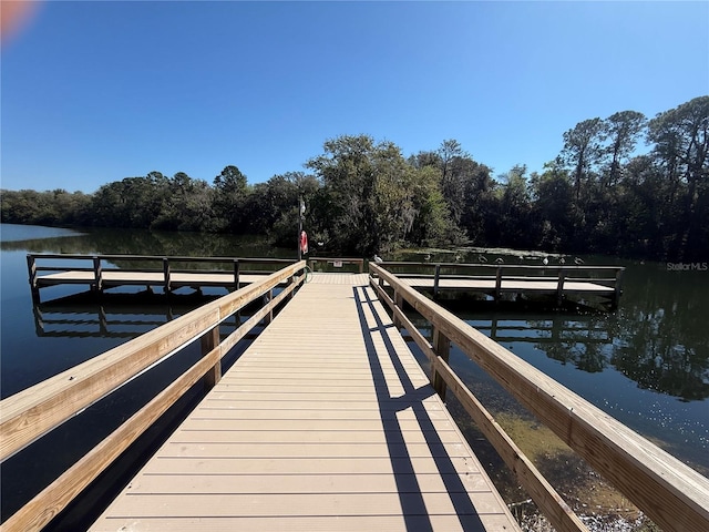 dock area with a water view