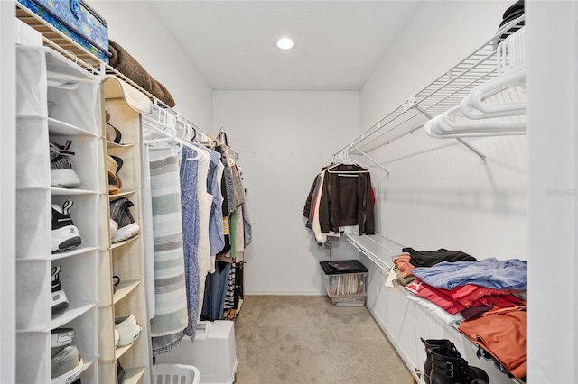 spacious closet featuring carpet