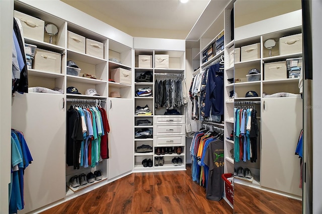 walk in closet with wood finished floors