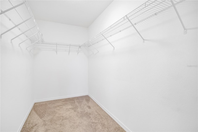 spacious closet with light colored carpet