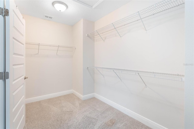 spacious closet featuring carpet flooring and visible vents