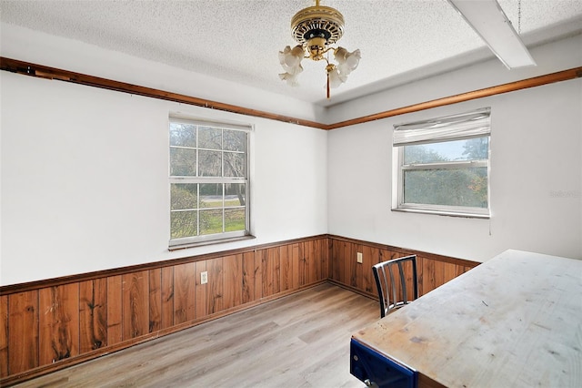 unfurnished dining area with a healthy amount of sunlight, light wood finished floors, a textured ceiling, and wainscoting