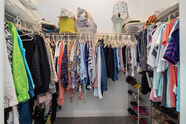 spacious closet with carpet floors