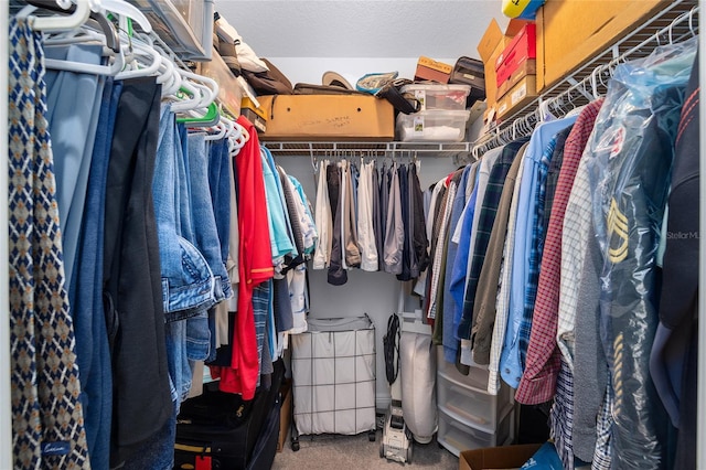 walk in closet featuring carpet