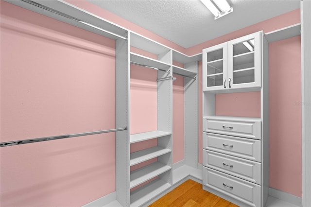 3430 Turningwind Ln, Winter Garden, FL 34787 - spacious closet with light wood finished floors