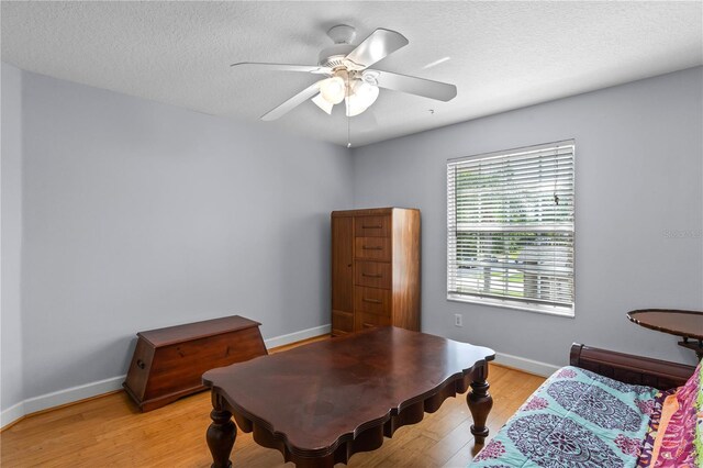 3430 Turningwind Ln, Winter Garden, FL 34787 - home office with a ceiling fan, light wood finished floors, baseboards, and a textured ceiling