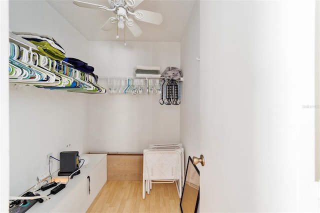 spacious closet featuring a ceiling fan and wood finished floors