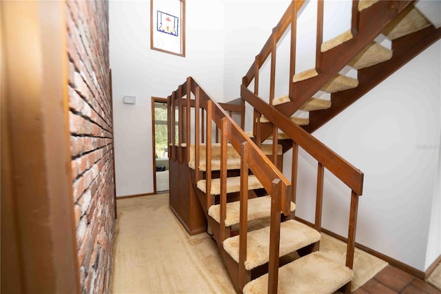 staircase featuring carpet