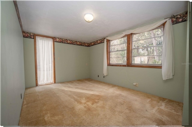 empty room featuring a wealth of natural light and carpet