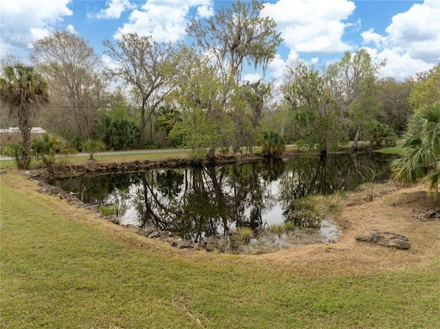 view of water feature