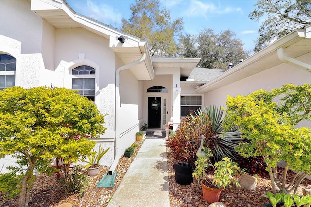 view of exterior entry featuring stucco siding