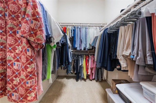 view of spacious closet