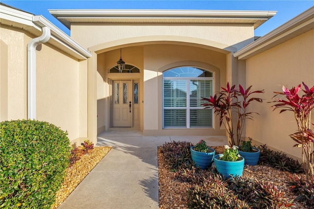 view of exterior entry with stucco siding