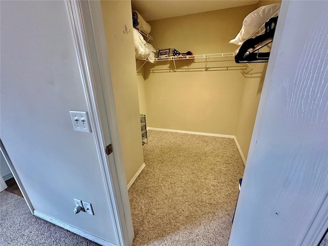 spacious closet with carpet floors