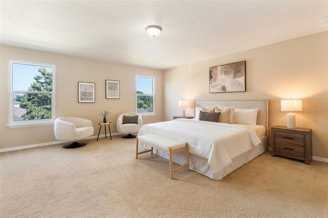 30342 Gidran Ter, Mount Dora, FL 32757 - bedroom featuring baseboards, a textured ceiling, and light colored carpet