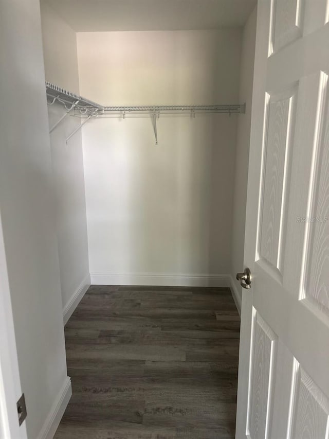 walk in closet with dark wood-style floors