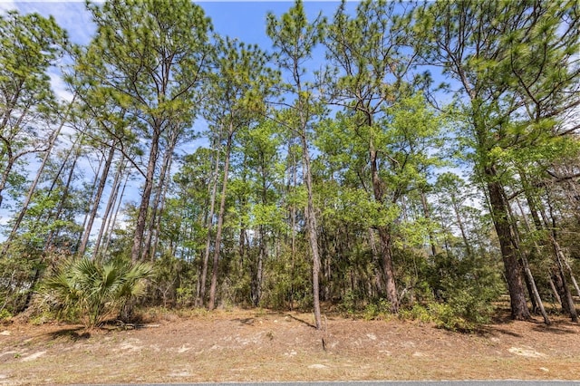 Listing photo 2 for TBD SW 60th St, Dunnellon FL 34432