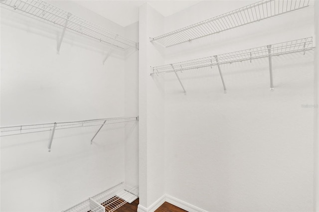 walk in closet featuring dark wood-style floors