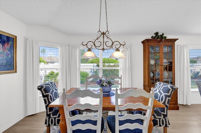 1923 Greeleyville Ter, The Villages, FL 32162 - dining room with light wood-style floors, a textured ceiling, and a wealth of natural light