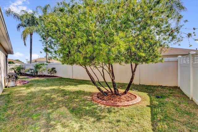 1923 Greeleyville Ter, The Villages, FL 32162 - view of yard with a fenced backyard