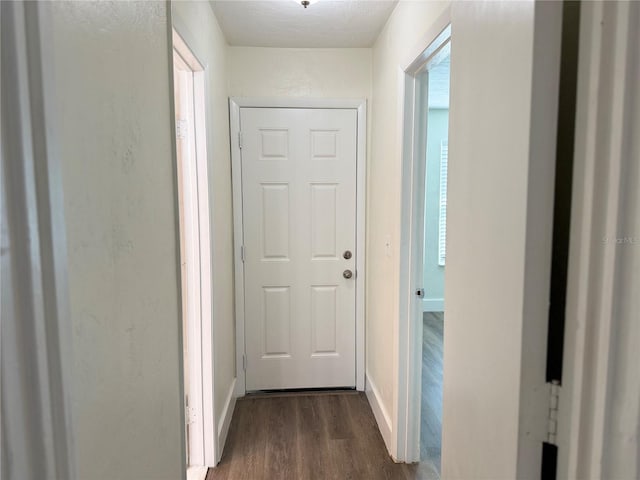 doorway to outside with dark wood-type flooring